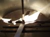 Image Kettle